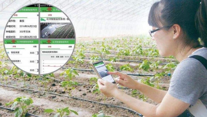 互联网+农业 农业电子商务与智能管理的新时代